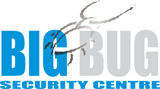 BigBug