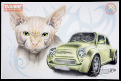 Аэрограф 2007