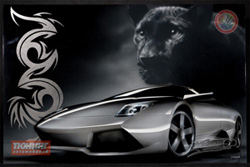 Аэрограф 2007