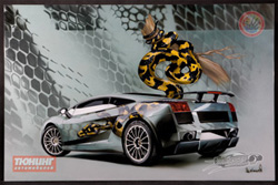 Аэрограф 2007