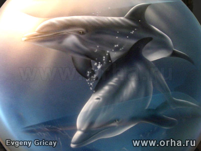 «Дельфины», автор Грицай Евгений
