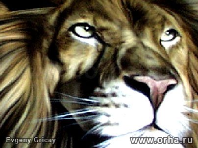«Лев», автор Грицай Евгений
