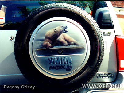 «Умка вырос», автор Грицай Евгений