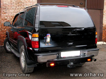 «Байк-цыпленок», автор Грицай Евгений