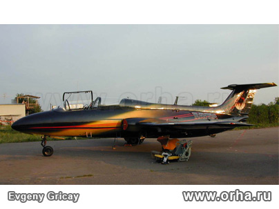 «Ворон», автор Грицай Евгений