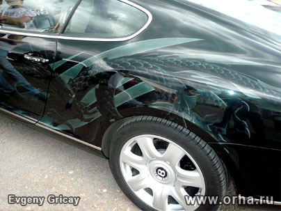 «Green Dragon», автор Грицай Евгений