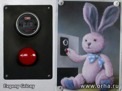 «Фото заяца на торпеде авто», автор Грицай Евгений