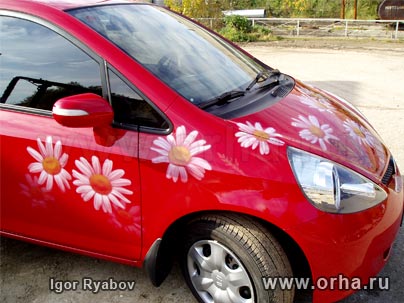 «Ромашки», автор Рябов Игорь