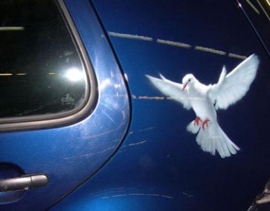 «Голубь», автор Рябов Игорь