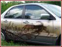 Mitsubishi Lancer, $20000