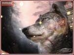 Автор - Евгений Грицай
