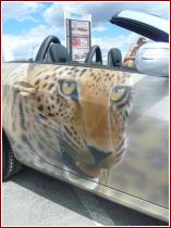 нажмите чтобы увеличить фото