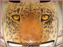 нажмите чтобы увеличить фото