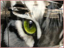 нажмите чтобы увеличить фото