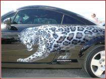 нажмите чтобы увеличить фото