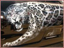 нажмите чтобы увеличить фото