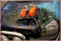 нажмите чтобы увеличить фото