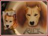 «», автор фото custom graphics