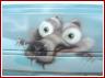 «Кондиционер Ice Age», автор фото Верхотуров Алексей