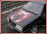 «череп», автор фото Почеширская Кошка
