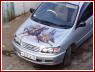 «подарок на Днюху», автор фото Завгороднев Александр